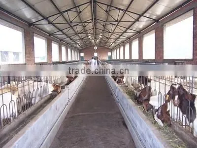 Steel Structure Horse House photo-5