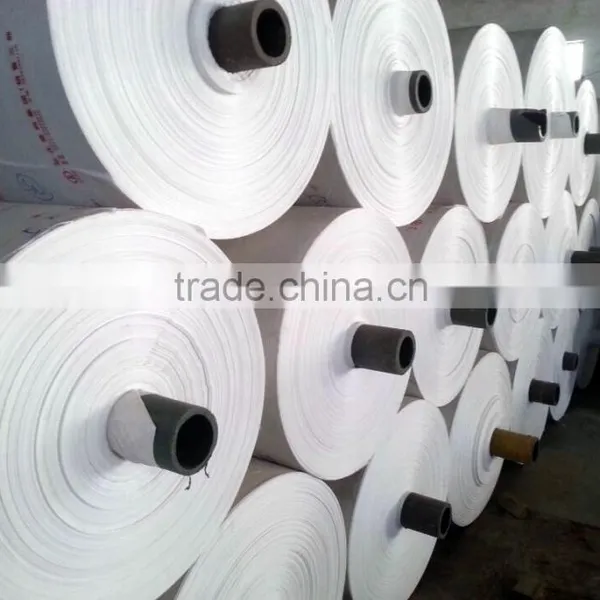 PP SACK Raw Material PP Woven Bag Fabric Rolls photo-2