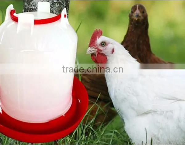 Auto Drinker/ Poultry Drinker/chicken Poultry Farm Auto Drinker photo-4