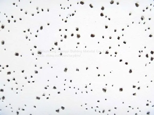 Airport, Subway, Library, Museum, Factory Building Mineral Fiber Ceiling/Board photo-3