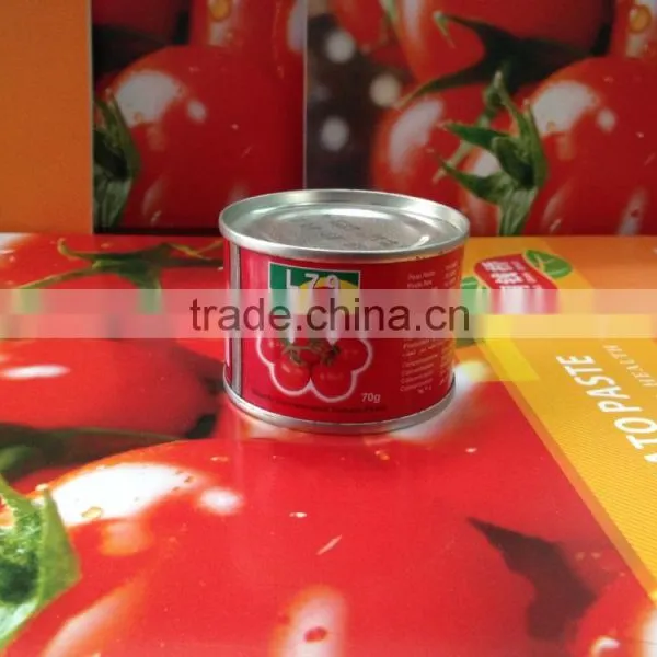 70G China Factory Hot Sell Nature Canned Tomato Paste photo-3
