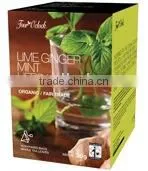 Lime Ginger Mint Organic Herbal Tea in Pyramidal Teabags