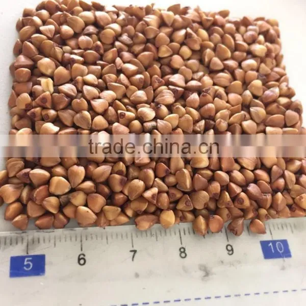 2016- Roasted Buckwheat Kernel photo-2