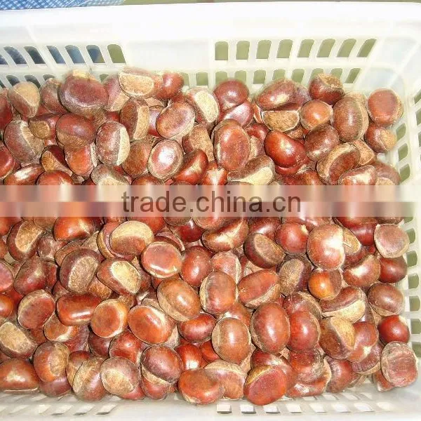 Chestnut Type Raw Chestnut photo-3