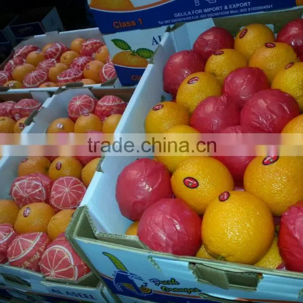Fresh Citrus Fruit Navel Orange 2015 photo-4