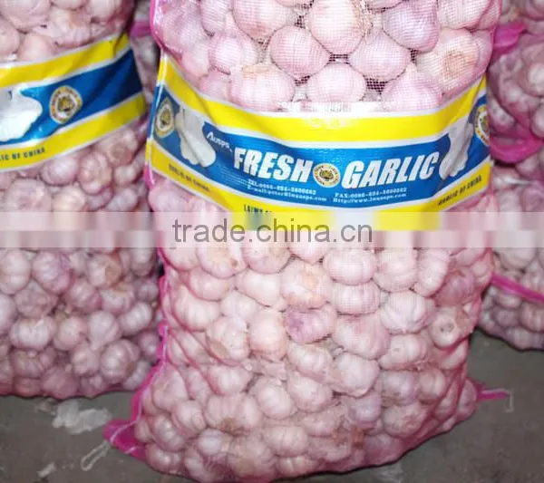 China Natural Fresh Garlic Price From Cold Storage photo-3