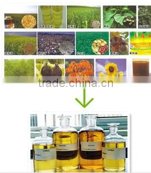 Waste Vegetable Oil/jitropha Oil to Biodiesel Biodiesel for Sale photo-3