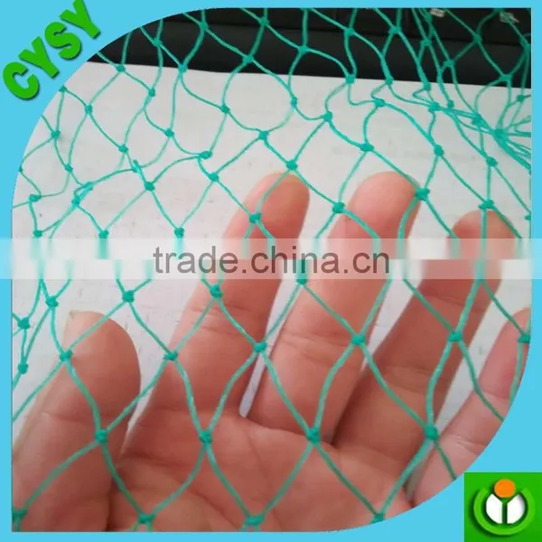 Green Polyethylene Anti-bird Net /plastic Net in Caton Packing photo-2