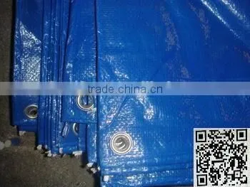 Blue Tarp photo-2