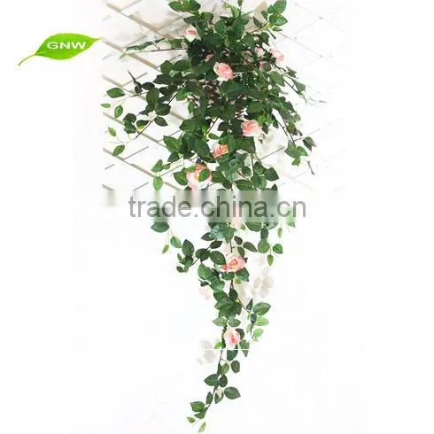 GNW FLV11 Calendula Flower Orange Blossom Flower Balloon Flower Root Extract photo-2