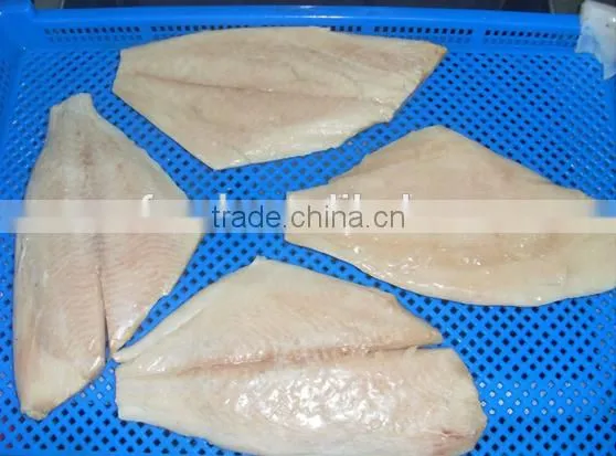 Frozen Brama Fillet,Skinless &PBO & 20%Glazing photo-2