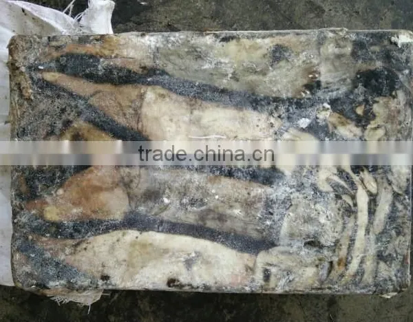 Tuna Roe Giant Squid photo-2