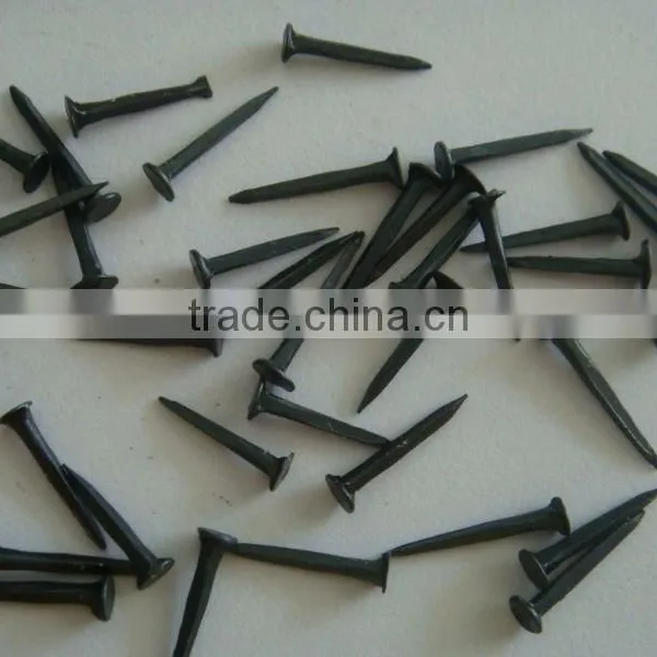 Blue Tack Shoe Nail photo-5