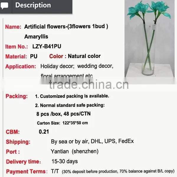 Cheap Wholesale Large Amaryllis for Halloween Arrangement photo-2
