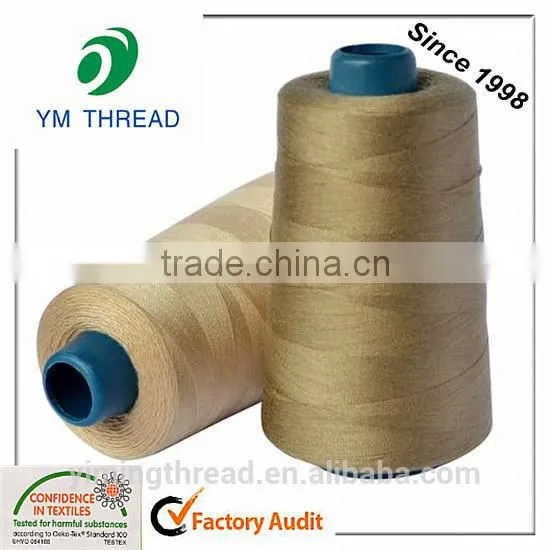 20/2 40/2 Cheap Price 100% Polyester Sewing Thread for Garments photo-4