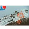 Polyester Printed Peach Skin Fabric