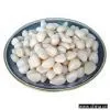 Sell Fresh Peeled Garlic