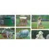 Sell Lawn Speaker