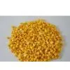 Freeze-dried (FD) Pumpkin