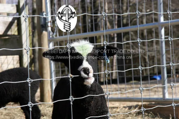 New Type Fixed Knot Wire Mesh Cattle Fence Panel