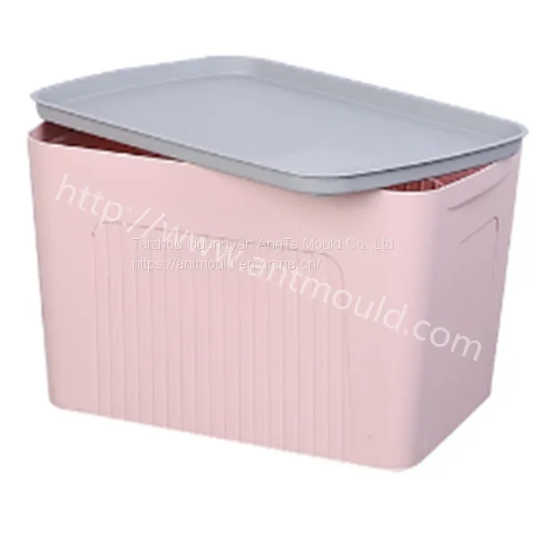 Customized Container Storage Box Molding Plastic Mould photo-2