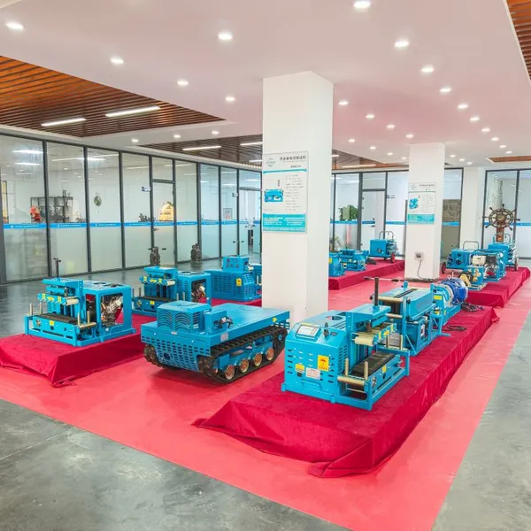 Cable Laying Conveyor CY-8 Speed Type Changyun Factory photo-4
