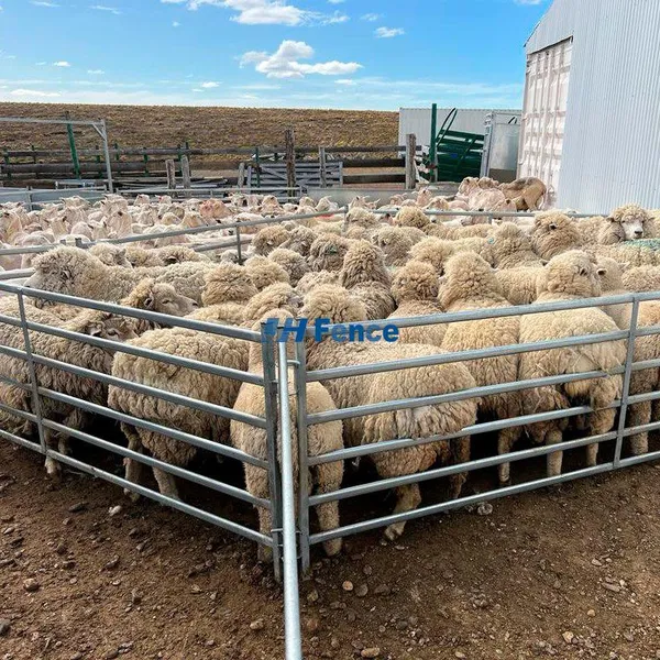 Portable Galvanized Steel Livestock Cattle Panels Durable Quality Farm Fence for Horses Easy-to-Assemble Corral Panel for Horse photo-5