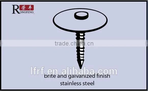 12G*1'' Head Diameter1'' Best Price Plastic Nail Cap photo-4