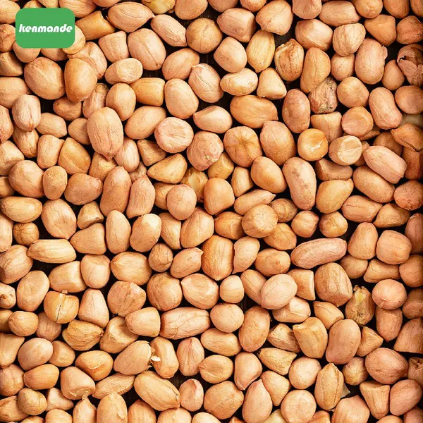 Bulk Natural Red Skin Round Red Skin Peanut Kernels 80/100 for Roasting