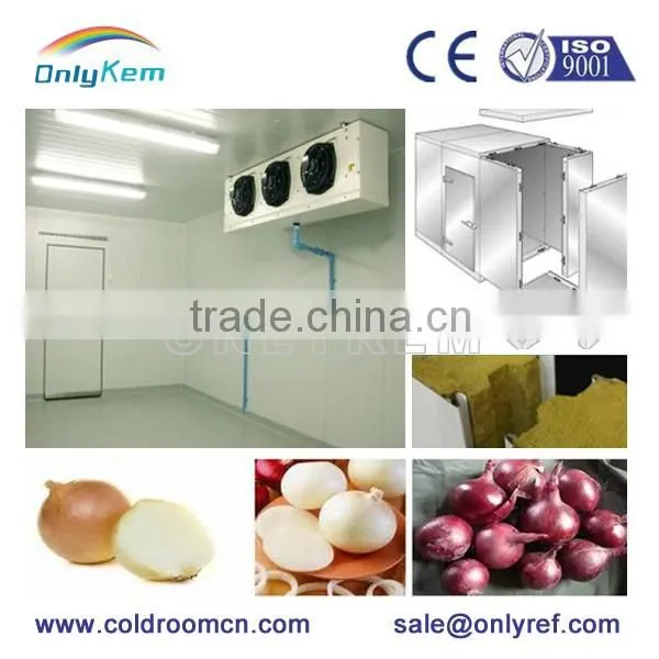 Small Cold Room for Family Keep Pineapple Fresh photo-4