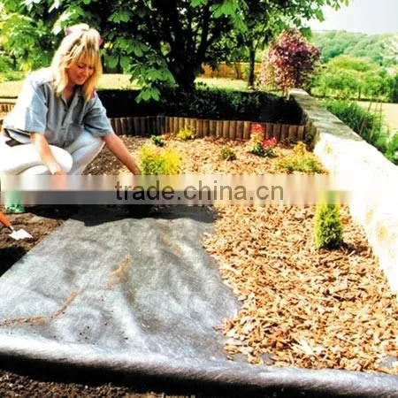 China Nonwoven Anti Weed Mat photo-2
