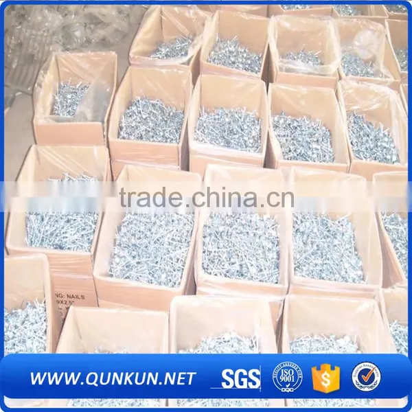 Concrete Nails Making Machine, Galvanized Grooved ss Nails Quality Choice photo-2