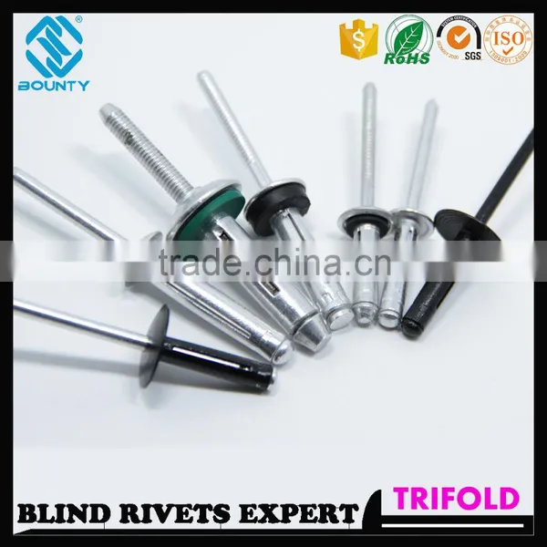 HIGH QUALITY FACTORY L/F HEAD LOAD SPREADING RIVETS FOR GLASS CURTAIN WALL photo-4