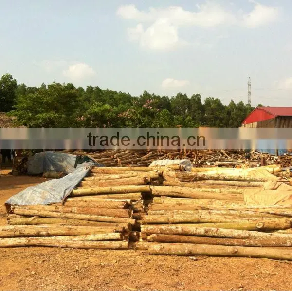Commercial Plywood for Furniture photo-6