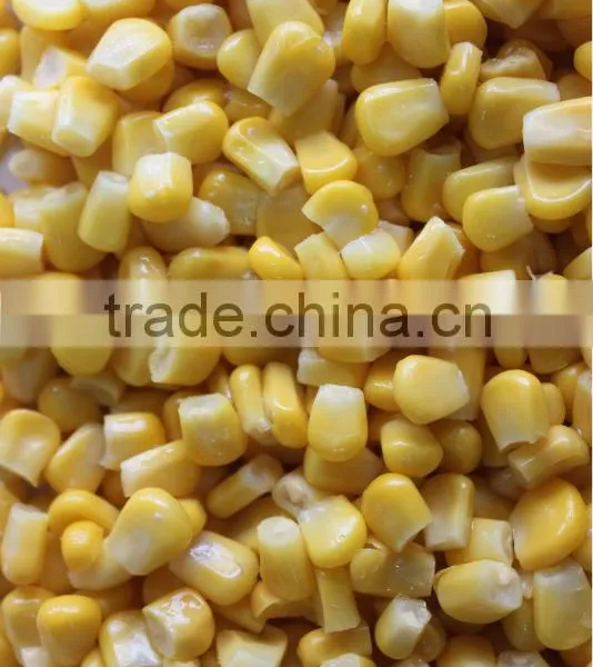 IQF Frozen Yellow Sweet Corn Kernels photo-5