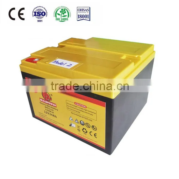 Newest 24v e Bike Battery Pack for Electric Bike photo-3
