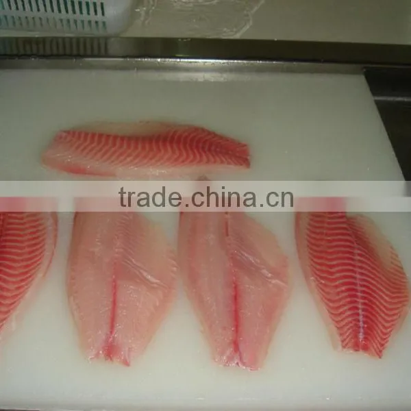 Frozen Tilapia Fillet