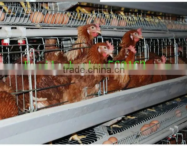 Quail Battery Cages for Sale Poultry Battery Cages Chicken Cages photo-2