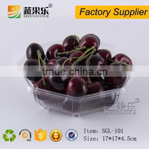 Blister Process Type Clear Plastic Blister Tray for Food Packaging photo-2