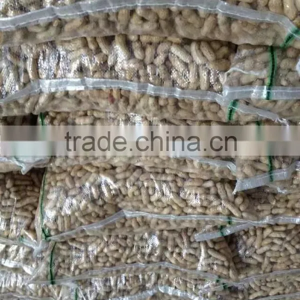 Peanuts in Shell 7-9,9-11,11-13 Specification photo-6