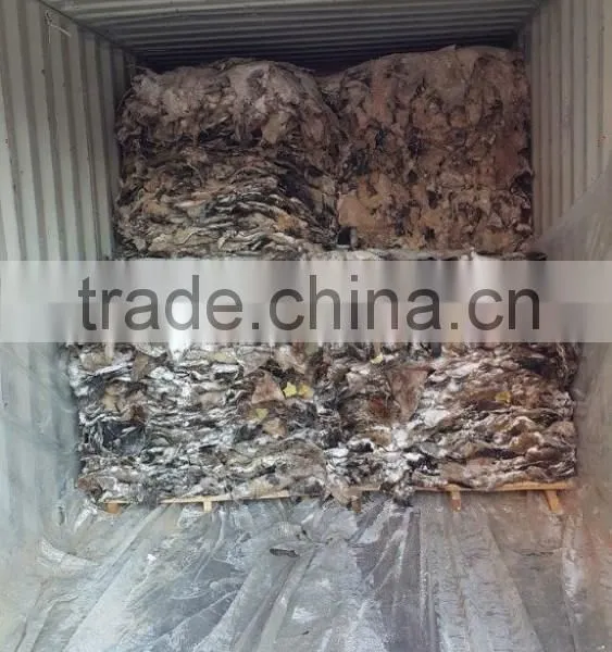 WET SALTED COW HEAD SKIN photo-3