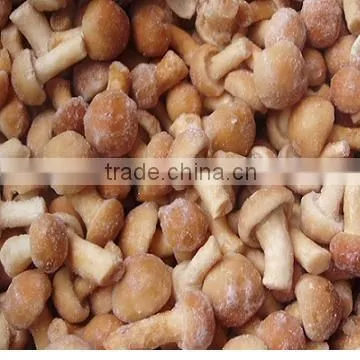I.Q.F Nameko Mushroom photo-2