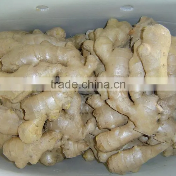 Fresh Air Dried Ginger photo-2