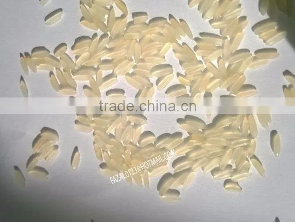 PREMIUM MINIKATE RICE FROM EXPORT TRADE ASSOCIATE, BANGLADESH. photo-3