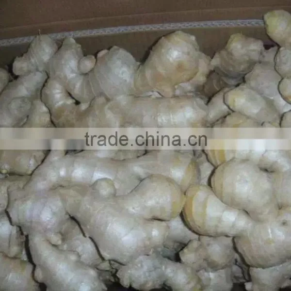 Ginger Root Price photo-3