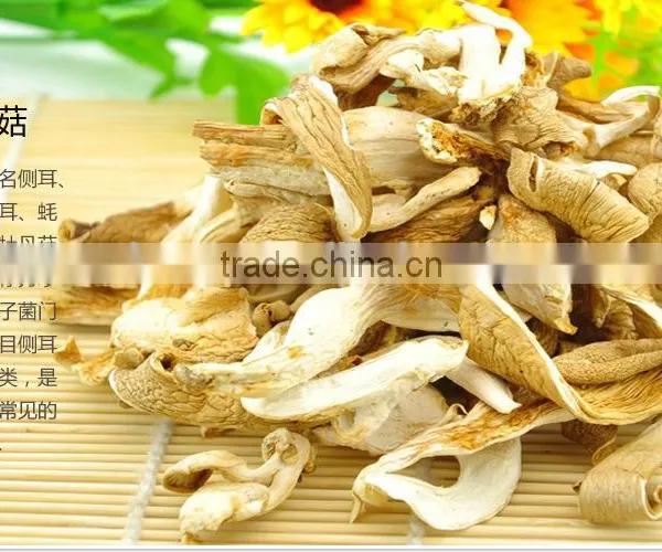 Dried Hot Sell Oyster Mushroom photo-3