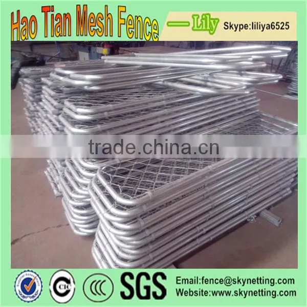 China Haotian Supplier Large Outdoor Chain Link Dog Kennel / Dog Cages, Welded Wire Dog Kennel / Pet Enclosure. photo-3