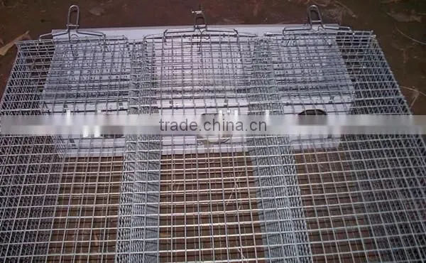 Mink Breeding/Mink Farming Cage photo-4