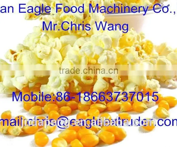 Automatic Popcorn Machine Popcorn Production Line for Industry photo-4