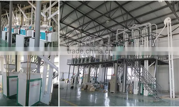 Conventional Maize Milling Corn Grinding Mill Machine photo-5